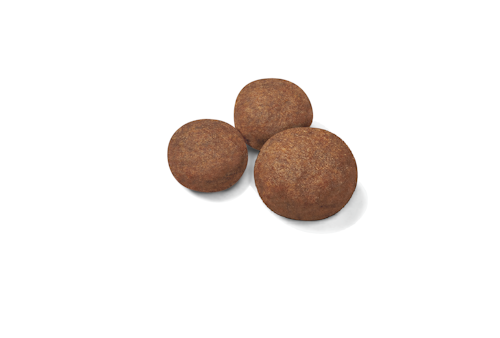 ROY.MEDIUM JUNIOR 4KG