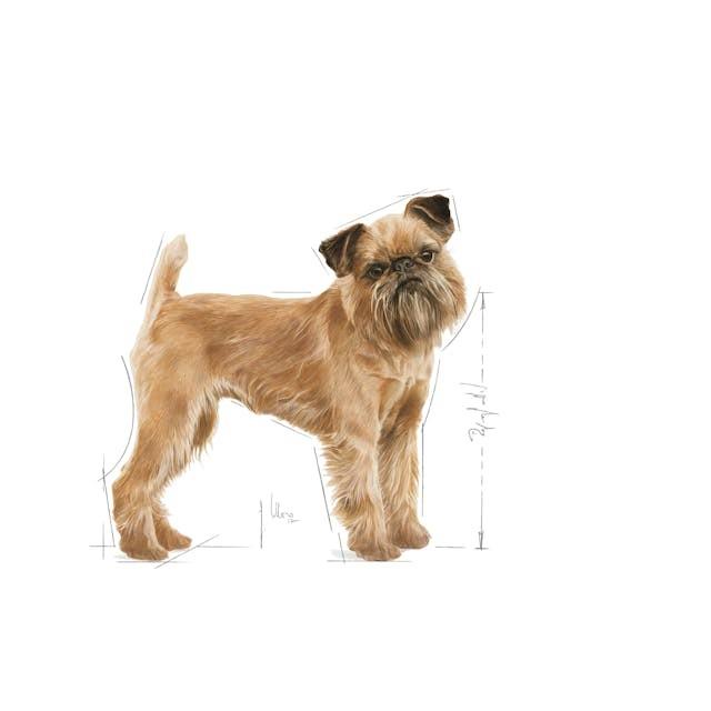 Royal Canin Mini Dental Care 1kg