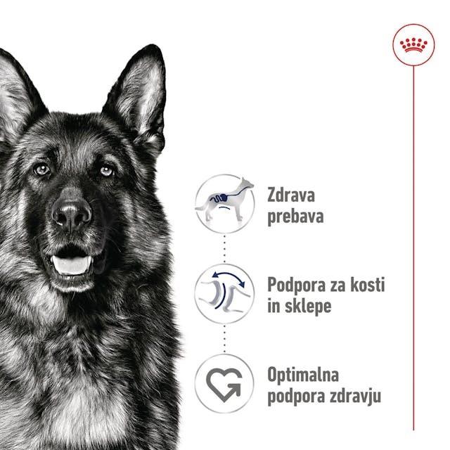 Royal Canin MAXI ADULT 140g