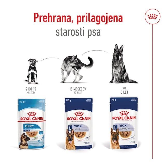 Royal Canin MAXI ADULT 140g