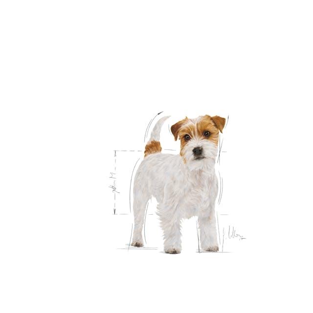 Royal Canin Jack Russel Terrier, 1,5kg