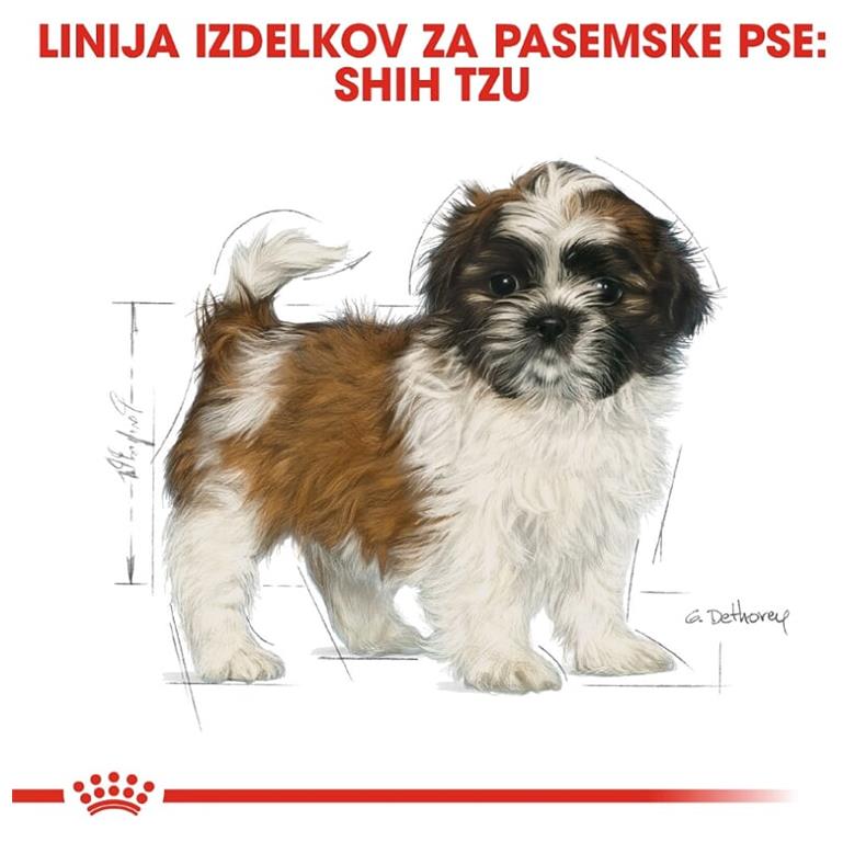 Royal Canin Shih Tzu Puppy 1,5kg