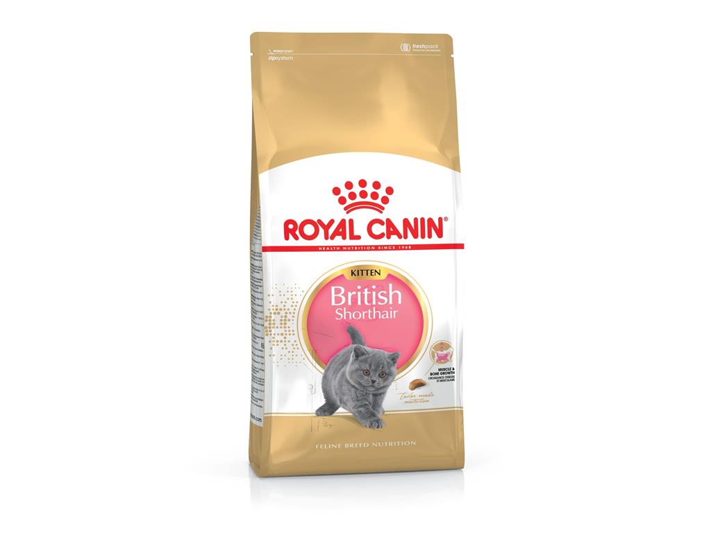 Royal Canin British Shorthair Kitten 2kg