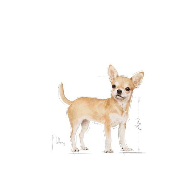 Royal Canin Chihuahua, 85g