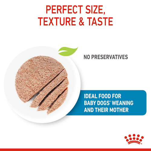 Royal Canin STARTER Mother & Babydog – Ultra soft mousse