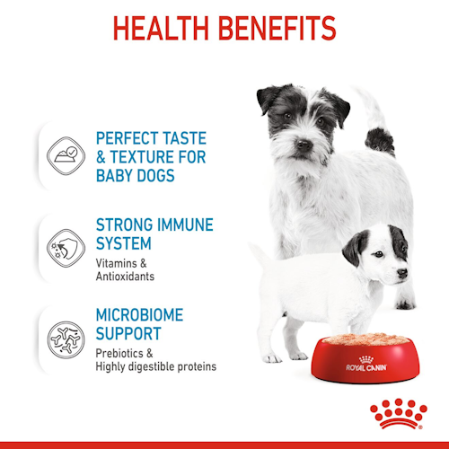 Royal Canin STARTER Mother & Babydog – Ultra soft mousse