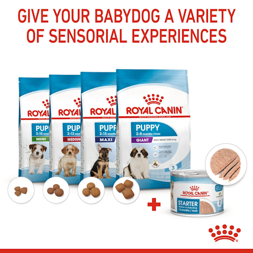 Royal Canin STARTER Mother & Babydog – Ultra soft mousse