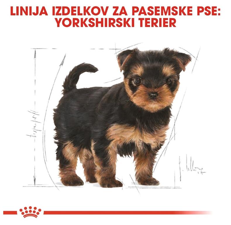 Royal Canin YORKSHIRE TERRIER - PUPPY 1.5 kg