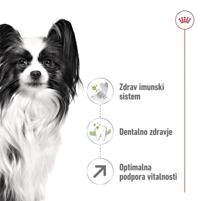 ROY.XSMALL ADULT 8+ 1,5KG