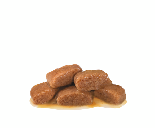 Royal Canin Cat Gastrointestinal vrečka 85g