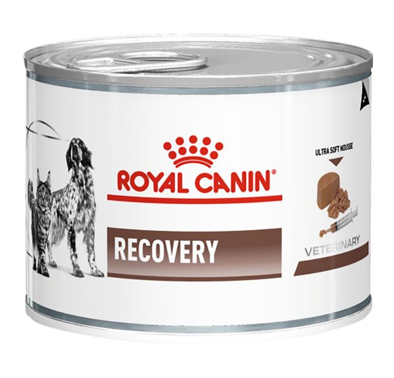 Royal Canin Recovery 195g