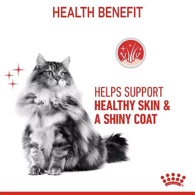 Royal Canin HAIR&SKIN CARE Tanki koščki v omaki, 85g