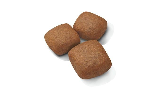 Royal Canin JUNIOR - GIANT 15kg