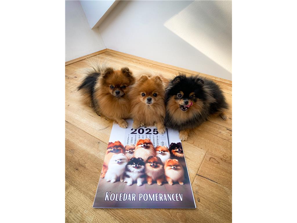 KOLEDAR POMERANCEV 2025