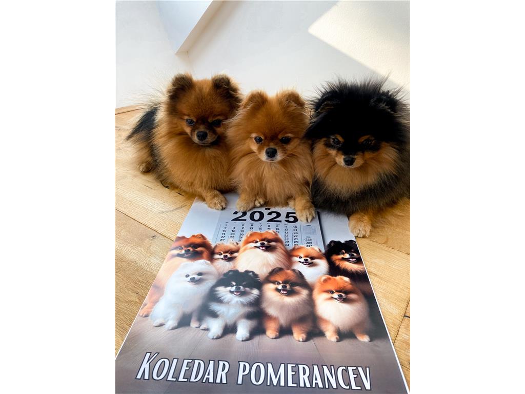 KOLEDAR POMERANCEV 2025