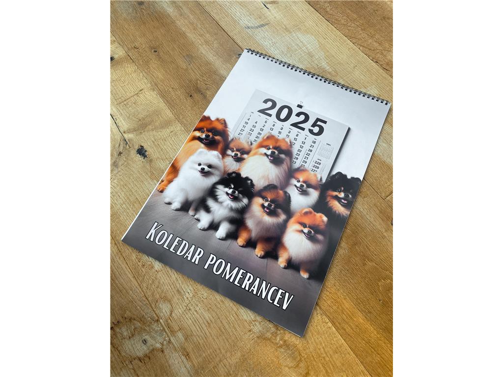 KOLEDAR POMERANCEV 2025