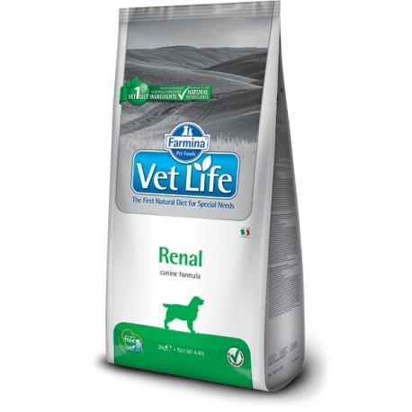 VET LIFE DOG RENAL 2KG