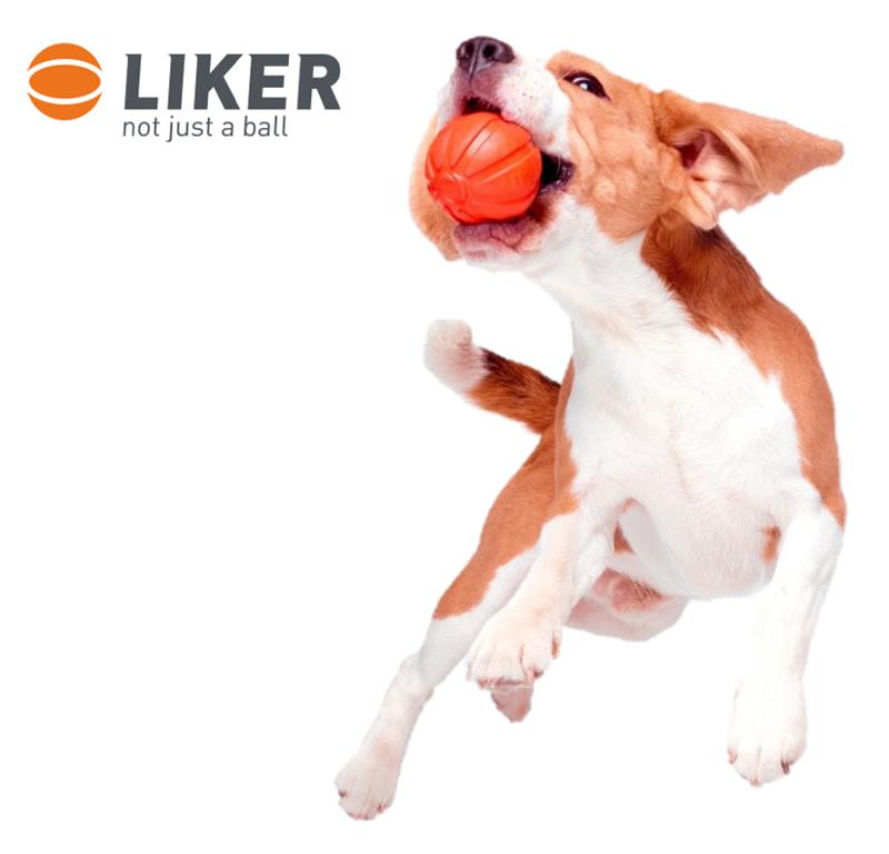 LIKER 5 žoga za pse - Z VRVICO
