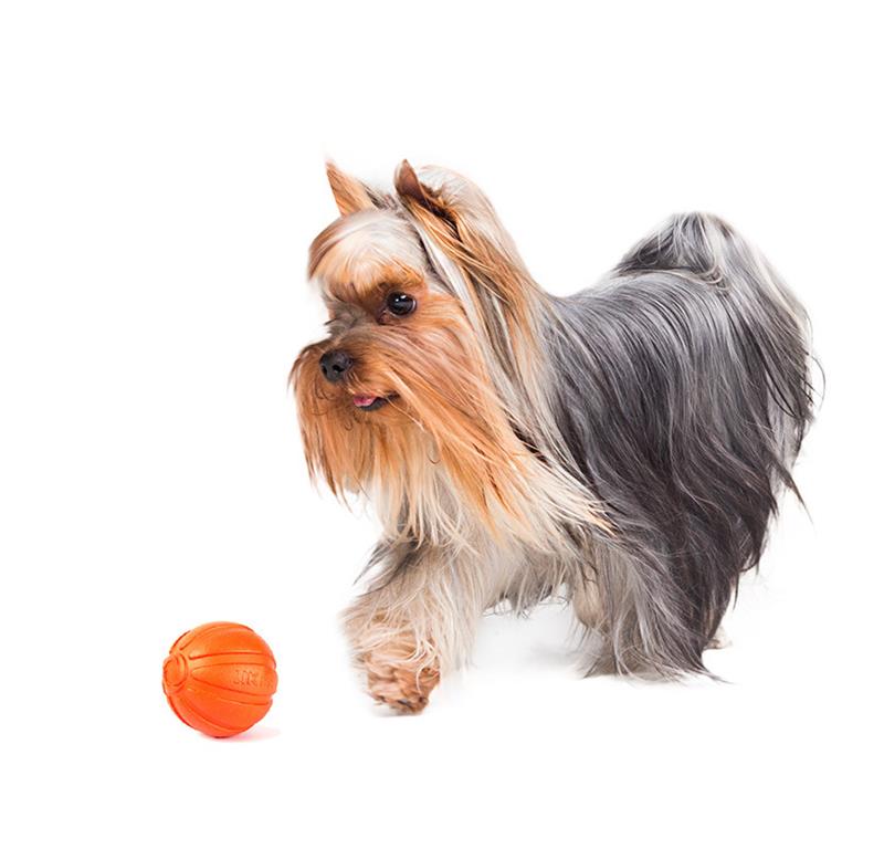 LIKER 5 žoga za pse