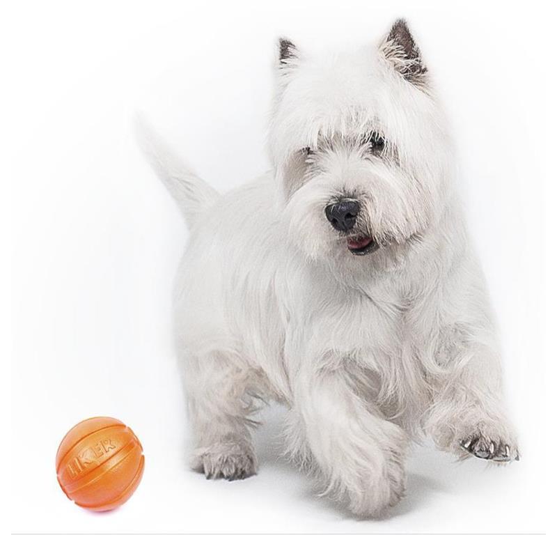 LIKER 5 žoga za pse