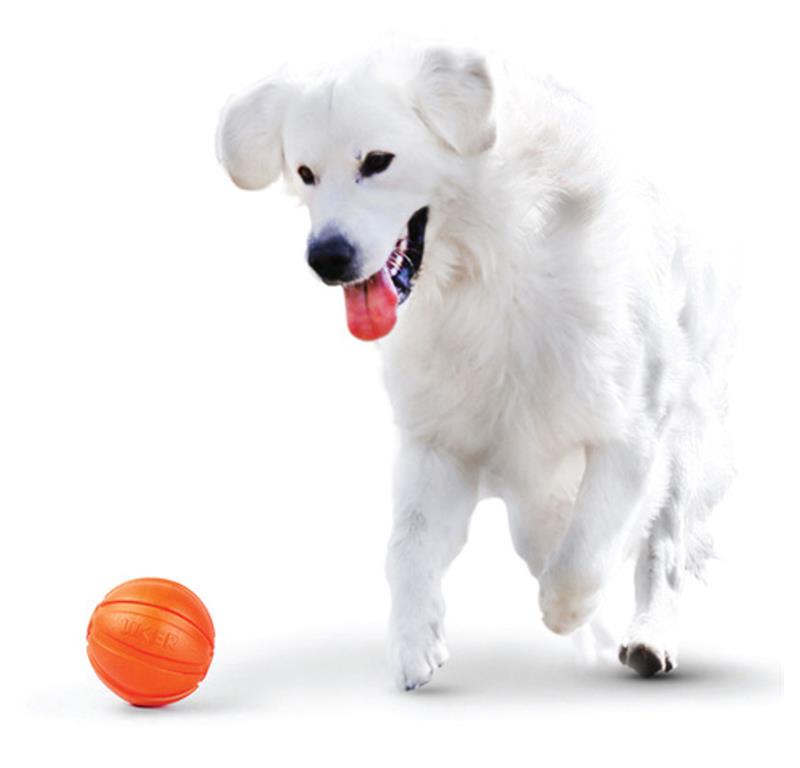 LIKER 9 žoga za pse