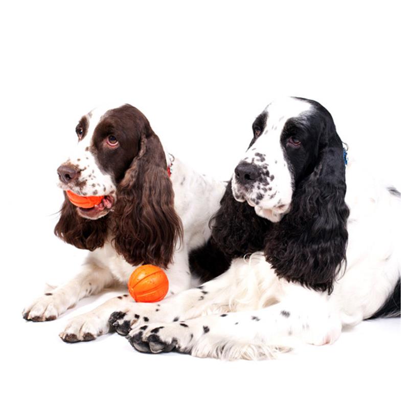 LIKER 9 žoga za pse