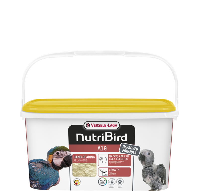 Nutribird A19 - hrana za ročno vzrejo