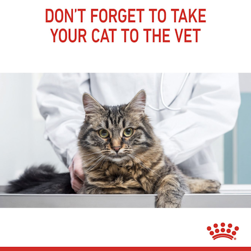Royal Canin - HAIR&SKIN Care