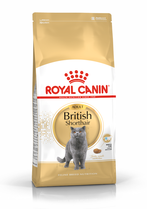 Royal Canin Adult British Shorthair
