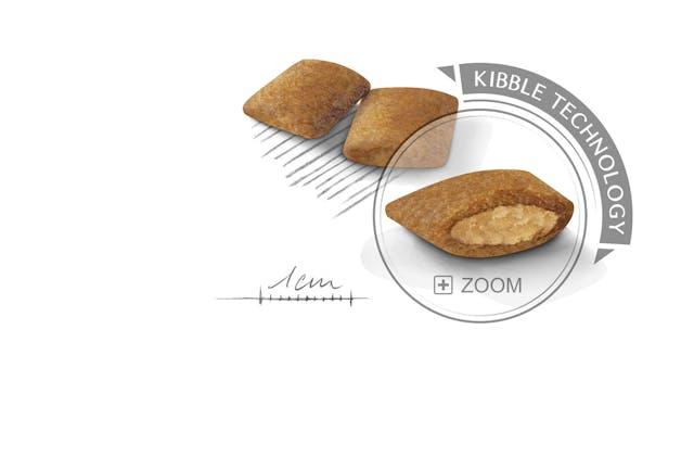 Royal Canin Mini EXIGENT