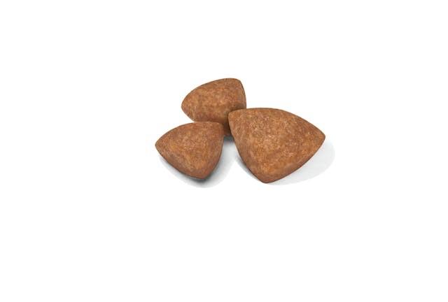 Royal Canin PUPPY - X-SMALL