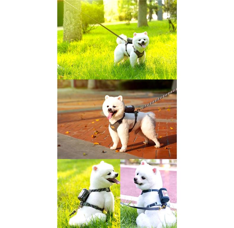 Truelove OPRSNICA S POVODCEM - WOLF
