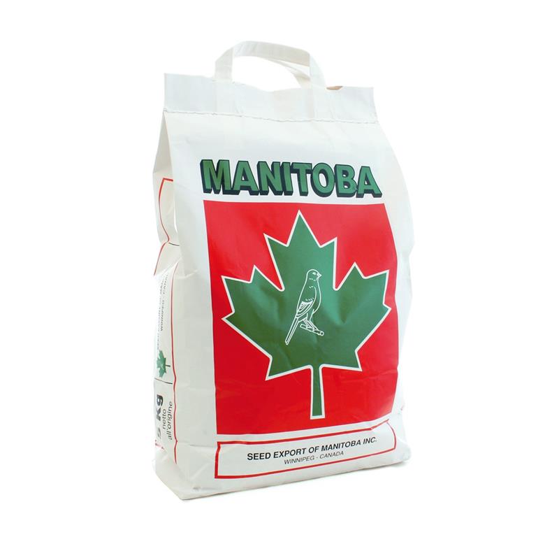 Manitoba KANARČKI T3 PLATINO