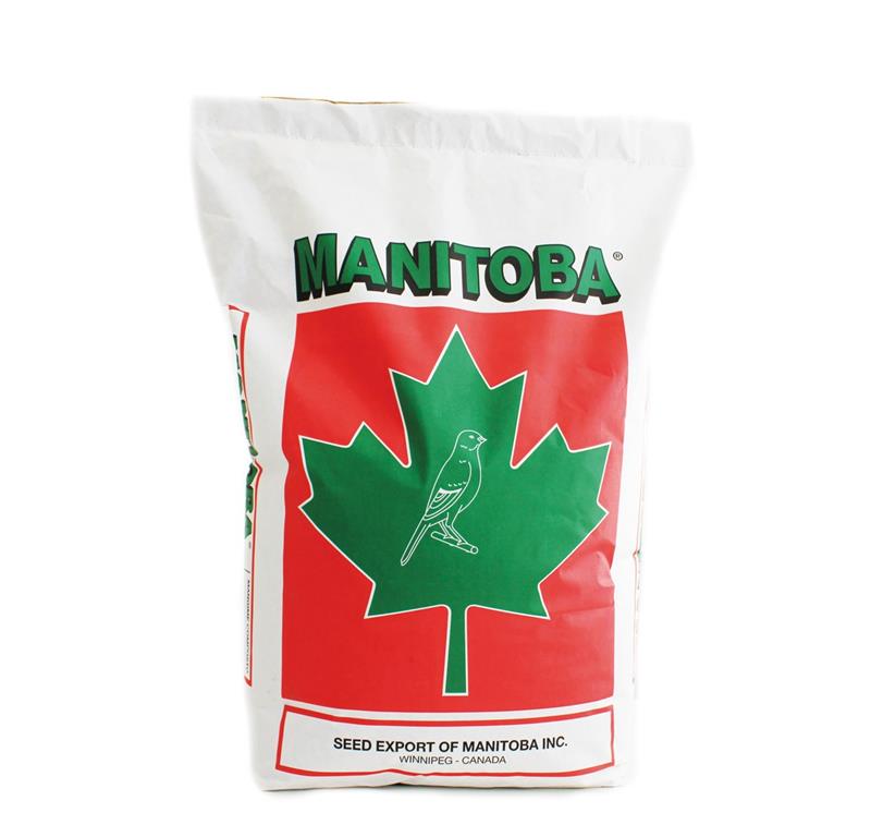 Manitoba KANARČKI T3 PLATINO