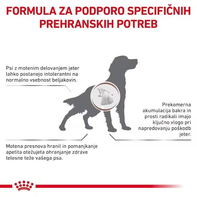 Royal Canin Dog HEPATIC