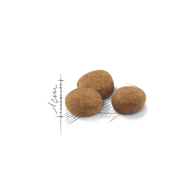 Royal Canin STERILISED 7+