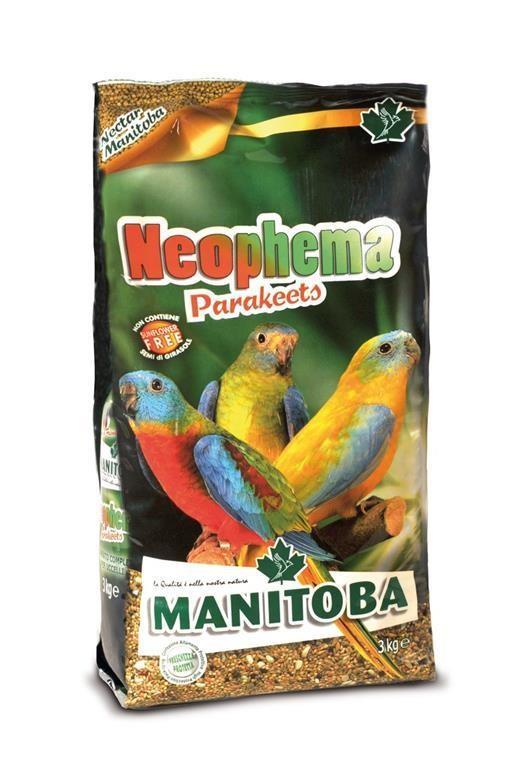 Maniotba NEOPHEMA