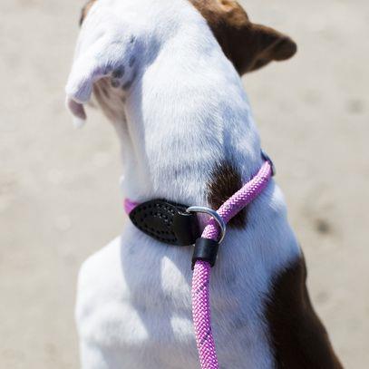 Doogy Reflektivni povodec – 2v1 - PINK