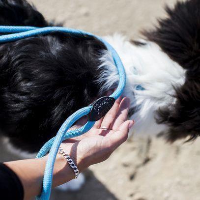 Doogy Reflektivni povodec – 2v1 - ZELEN