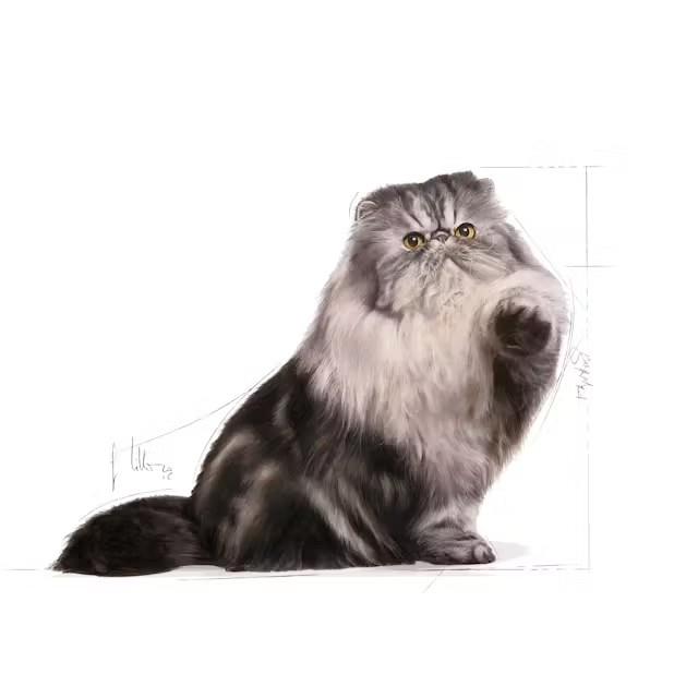 Royal Canin PERSIAN Adult