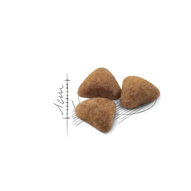 Royal Canin INDOOR 27