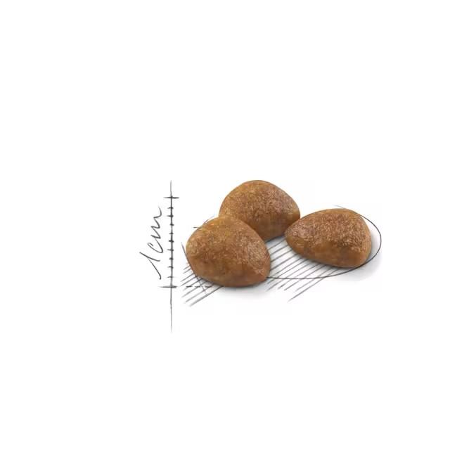 Royal Canin Outdoor +7 2kg