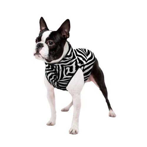WAUDOG Pasji plašček - Zebra
