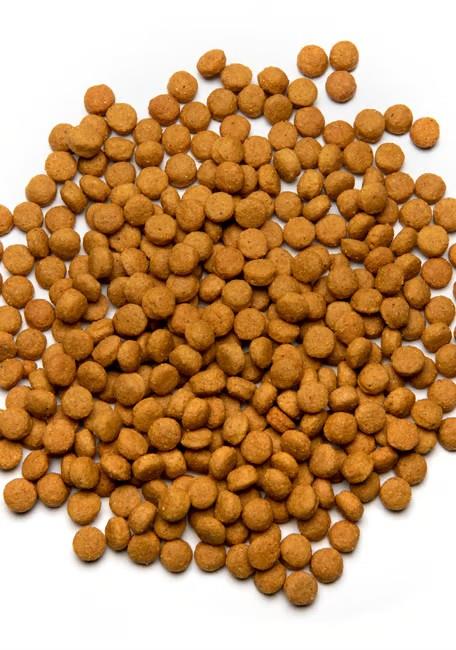 PSITTACUS HIGH ENERGY - za sive žakoje, are, senegalske papige,...