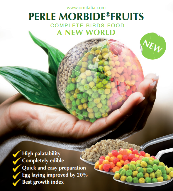 PERLE MORBIDE FRUITS - ROSSE 800G