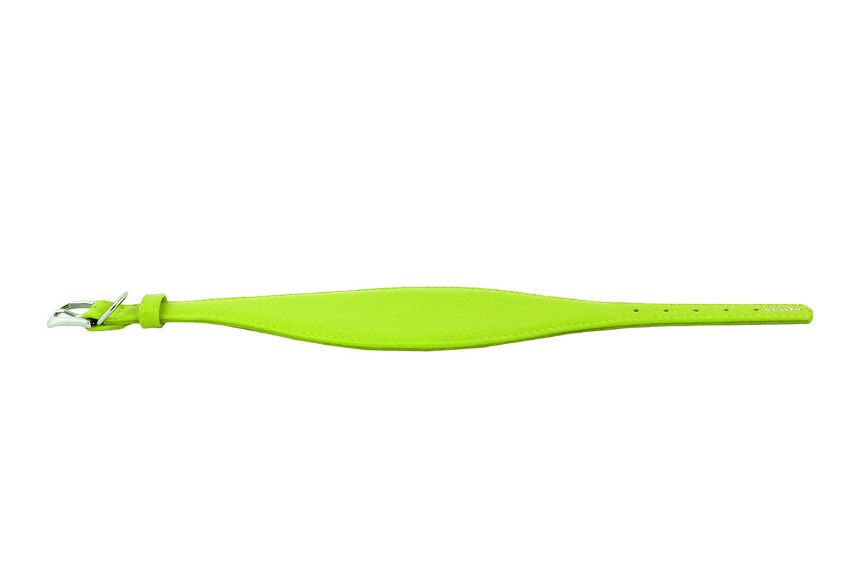 OVR.GLAMOUR ZA HRTE ZELENA 29-35CM