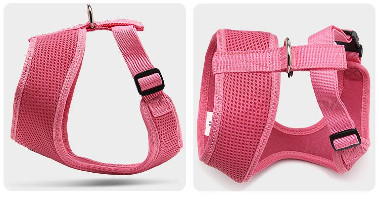 Truelove Oprsnica PUPPY – ROZA