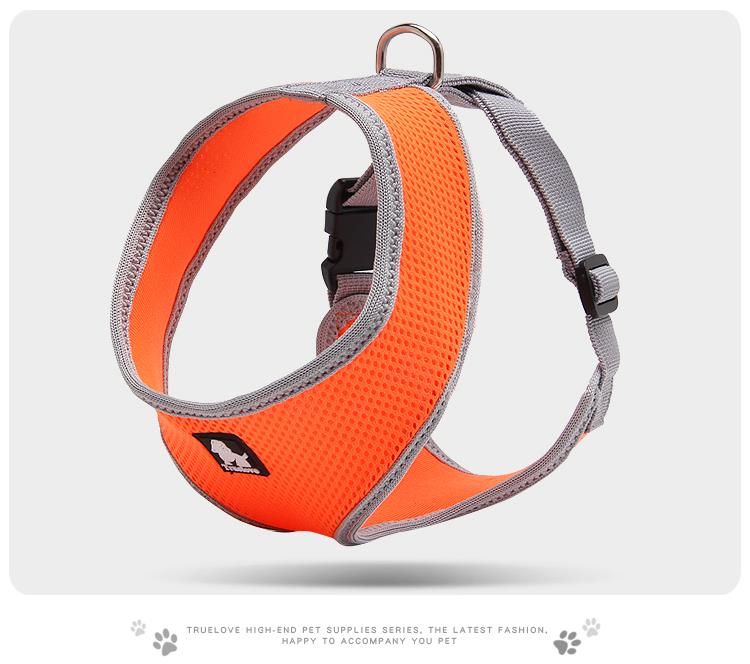 Truelove Oprsnica PUPPY – ORANŽNA