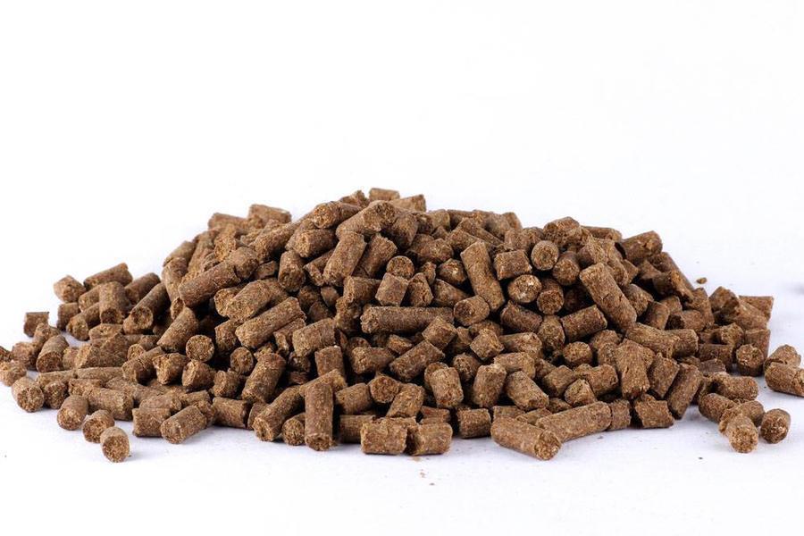 YOGGIES Hypoallergenic - KOZA, mini granule