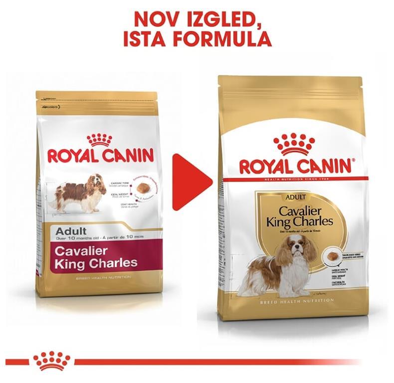 Royal Canin Cavalier King Charles